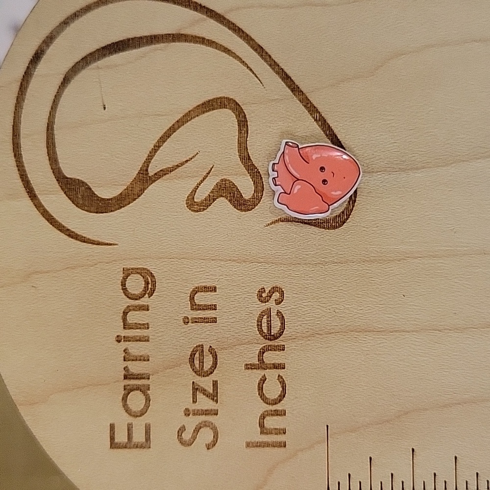 Anatomical Heart Kawaii Stud Earrings, unisex - Picture 3 of 6
